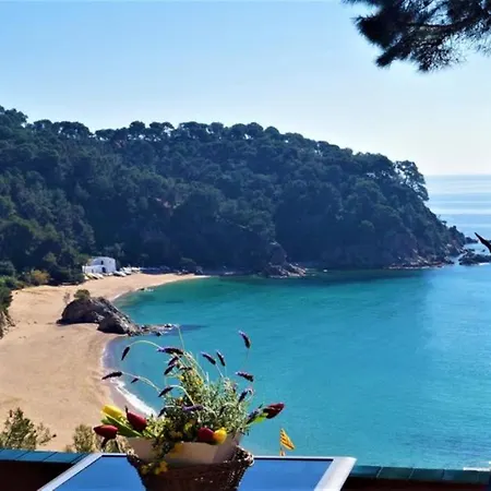 - 1 Bedroom With Pool And Sea Views Young People Group Not Allowed - 07517 * Lloret de Mar